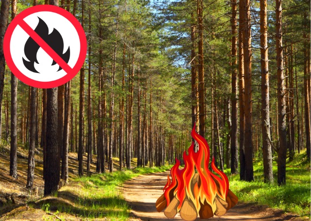 Grafika: Elżbieta Krząstek - Janeczko
Zakaz palenia ogniska - znak, ognisko, las