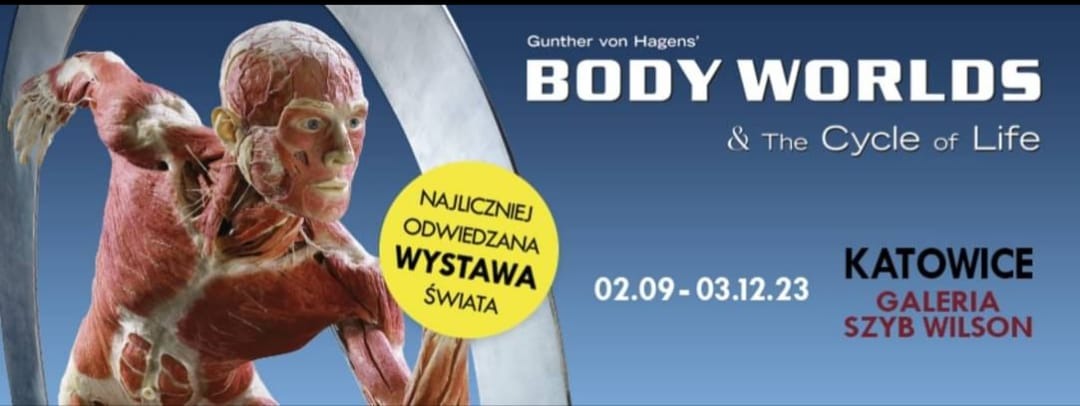 " Body Worlds & The Cycle of Life" - Obrazek 1
