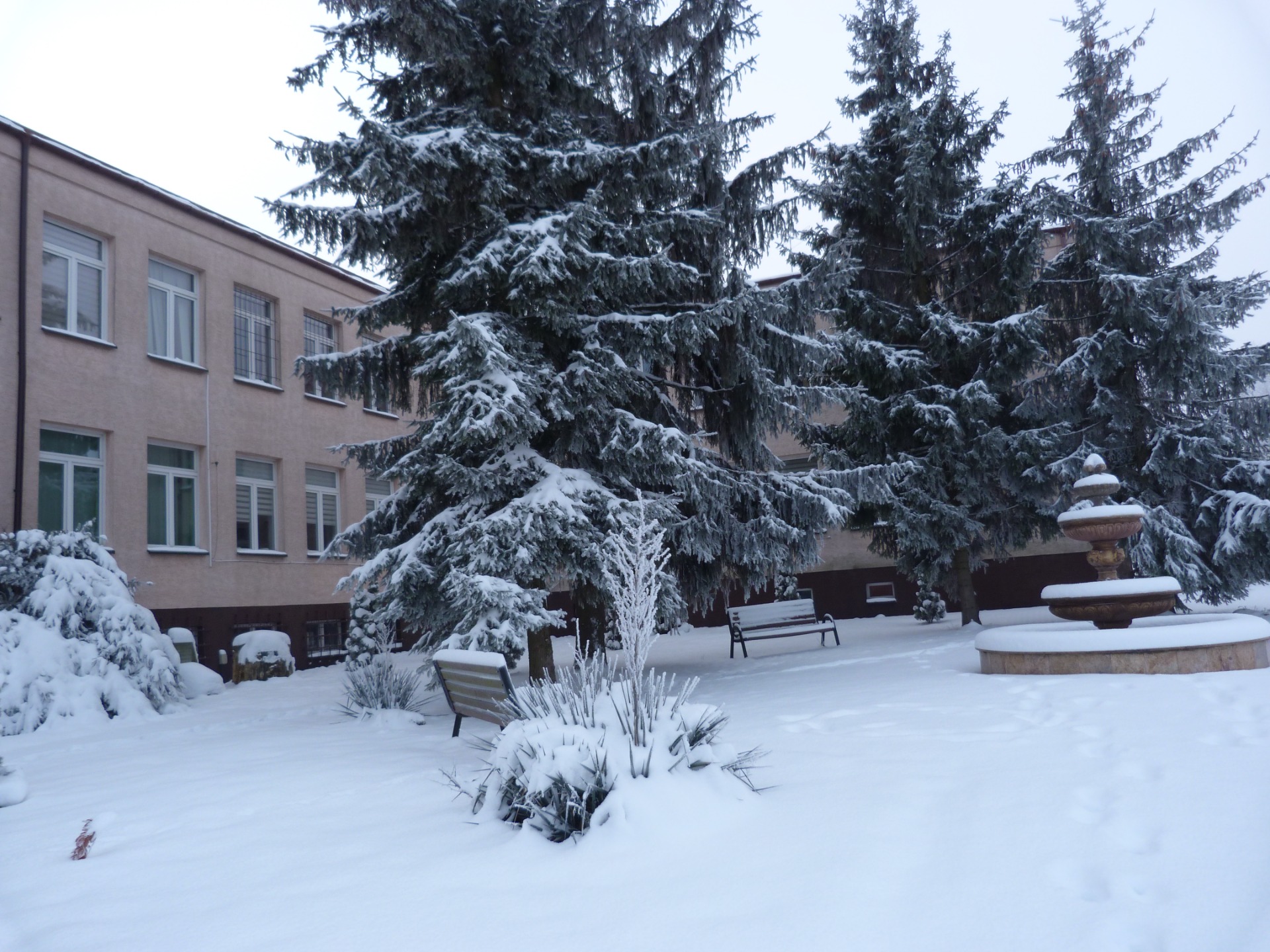 Nasza szkoła w zimowej odsłonie. - Obrazek 5
