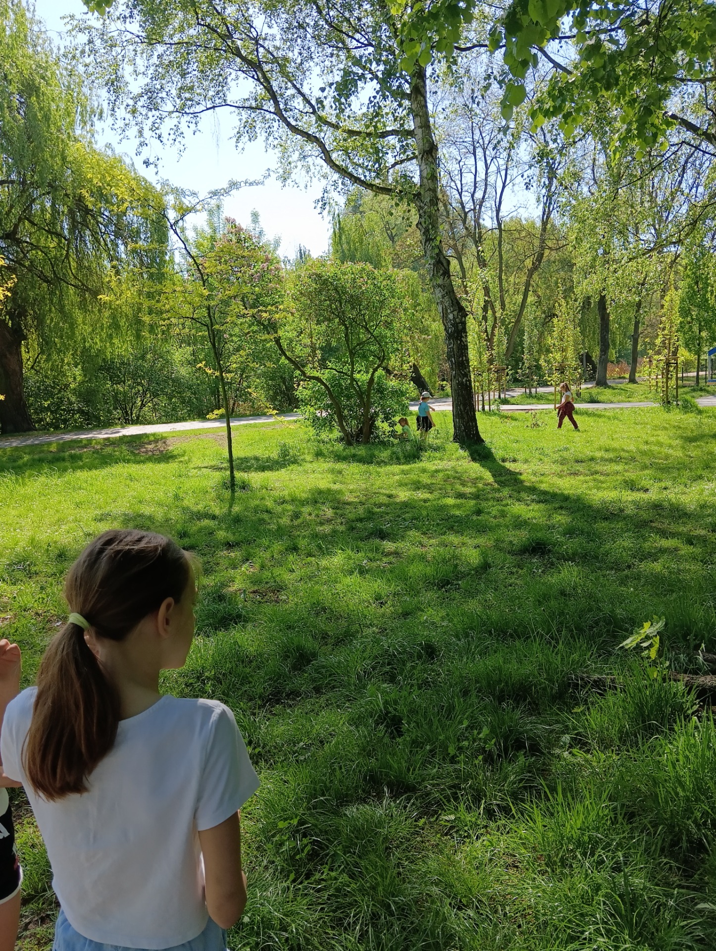 Obserwacje przyrodnicze w parku-kl.2b-P.U.Wawrzyn-Trzewik-2024 - Obrazek 4