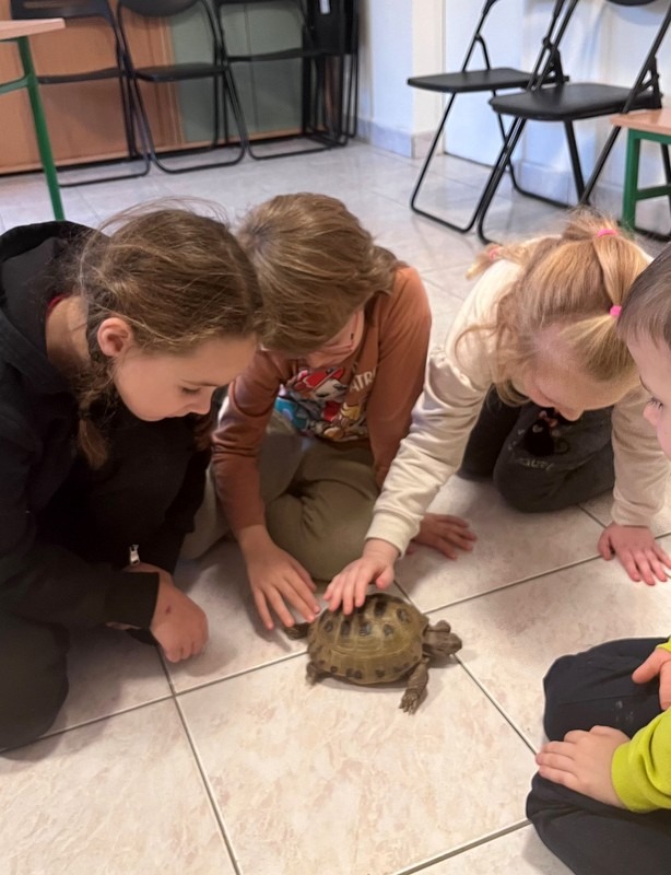 lekcja ekologiczna w ZOO - poznajemy żółwie