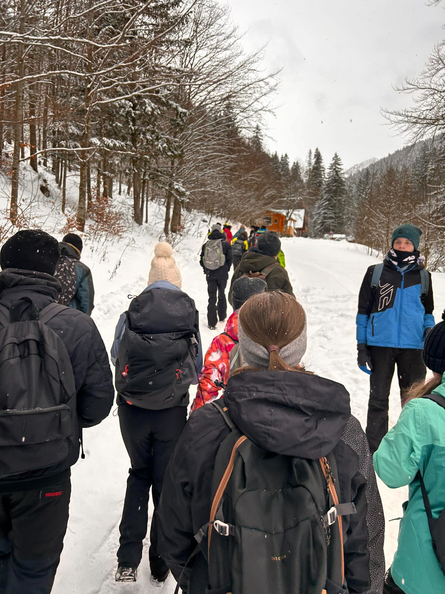 Zimná turistika k Chate M. R. Štefánika - Obrázok 3
