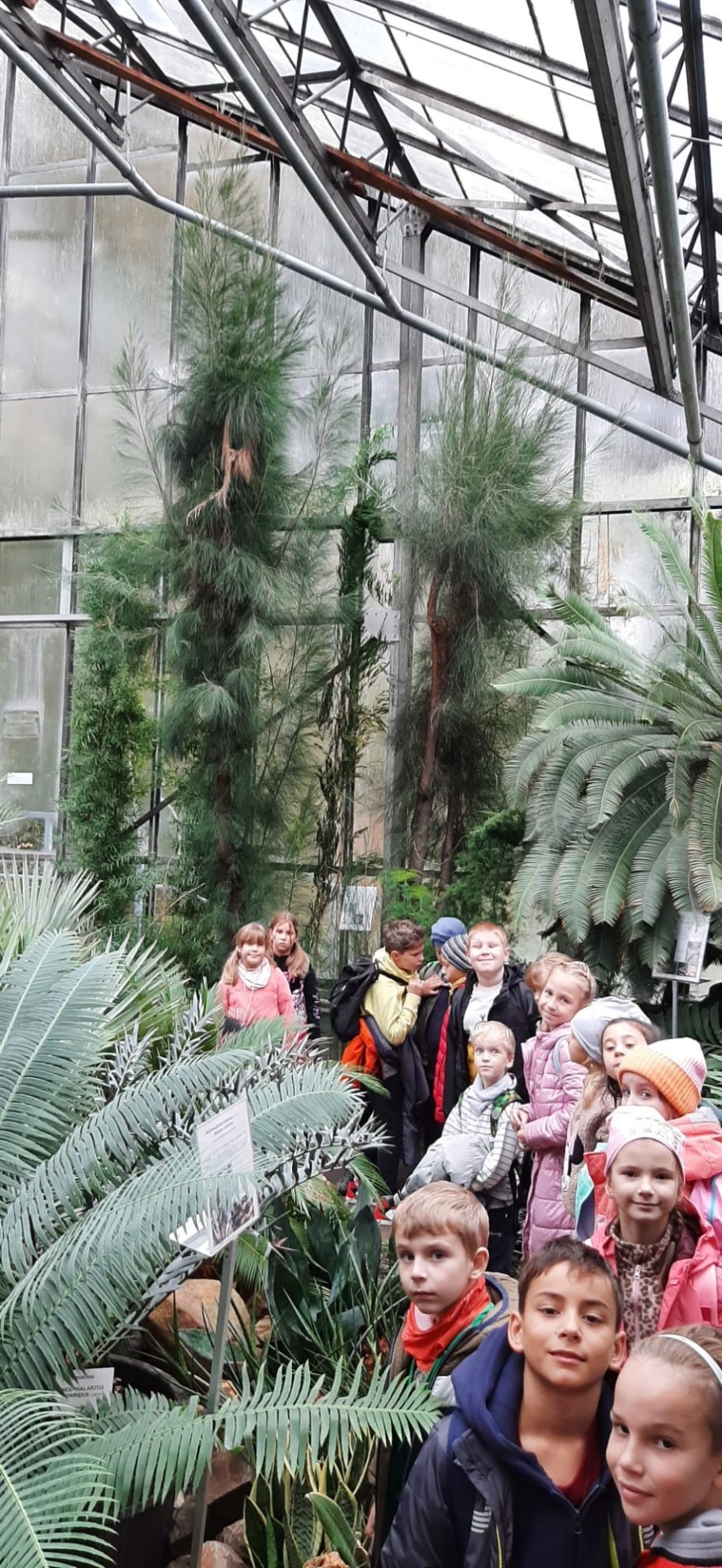 Uczniowie oglądają rośliny zgromadzone w szklarni Jubileuszowej