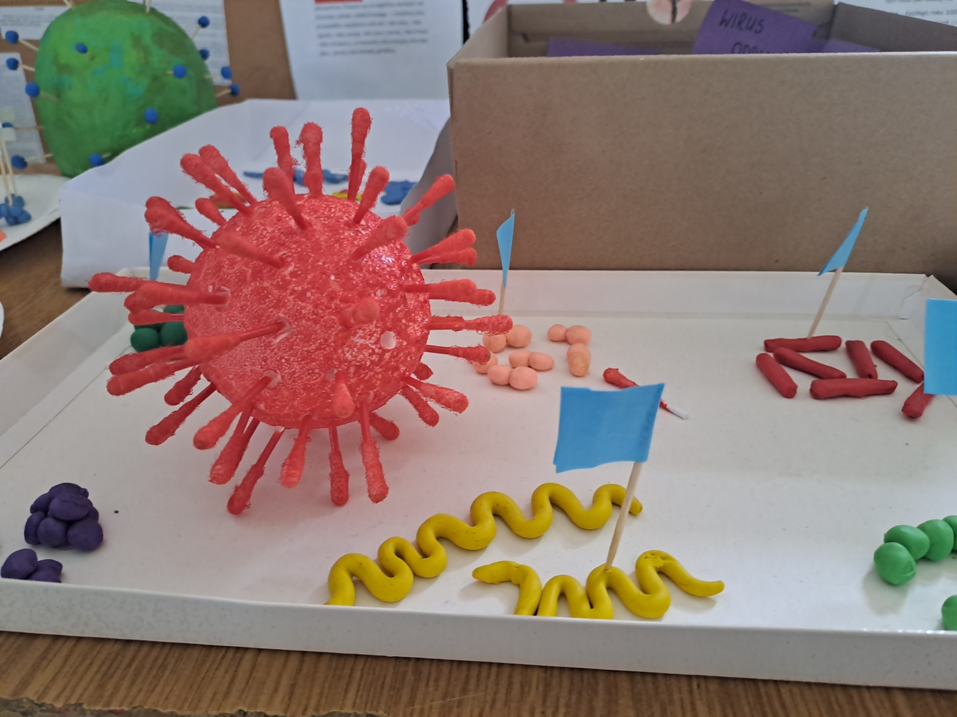 Lekcja biologii w klasie 5 "Wirusy i bakterie" #LaboratoriaPrzyszłości #LaboratoriaPrzyszlosci - Obrazek 4
