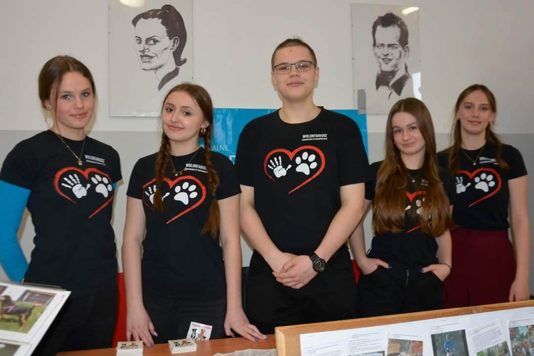 Nasi wspaniali wolontariusze pomagają psiakom ze schroniska w Sosnowicach - Obrazek 1
