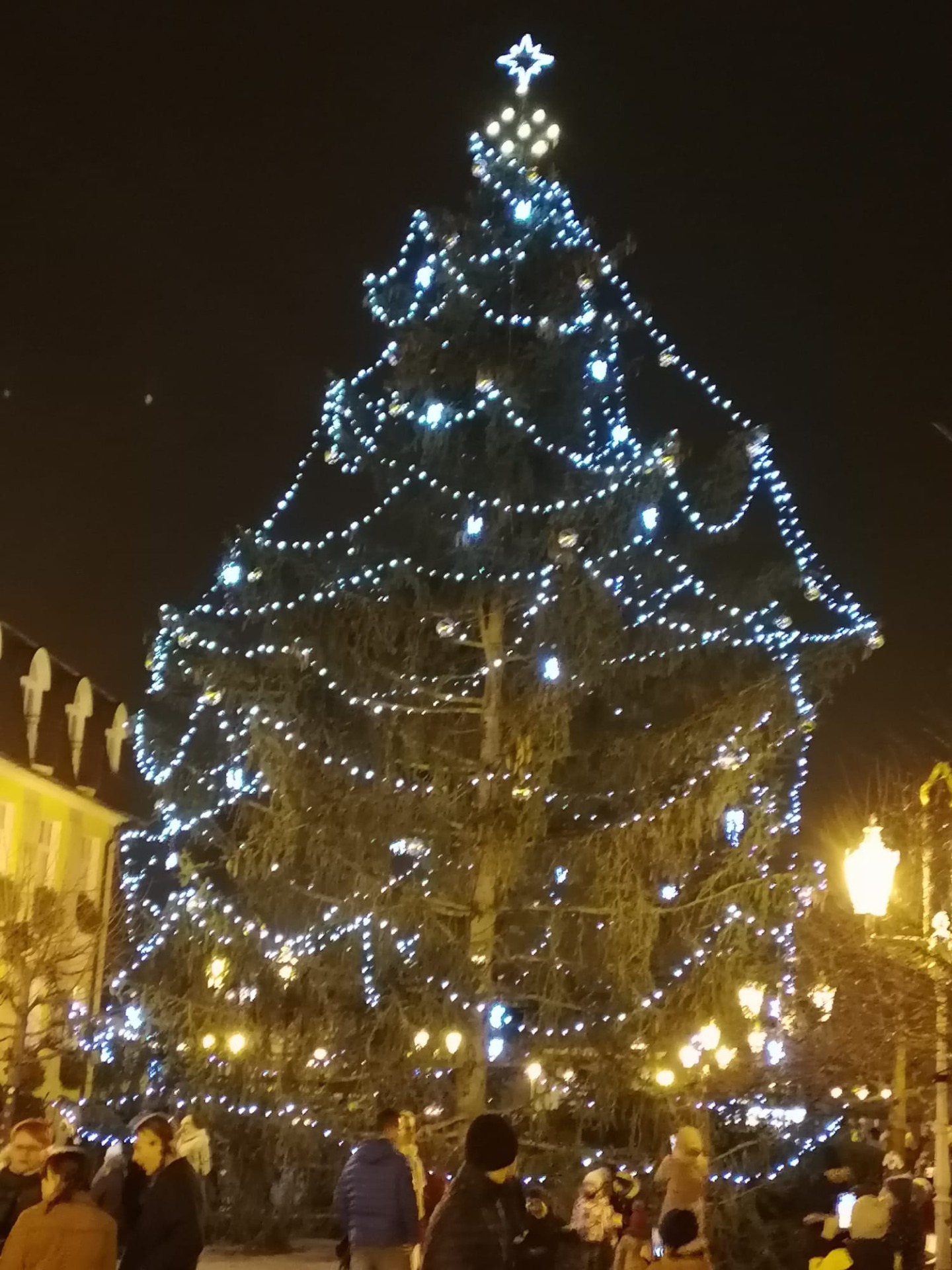 Rozsvícení vánočního stromu - Obrázek 6