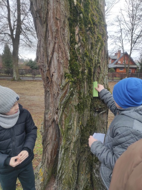 Dwóch uczniów stoi obok drzewa. Jeden uczeń wyjmuje zieloną kopertę ukrytą w drzewie.