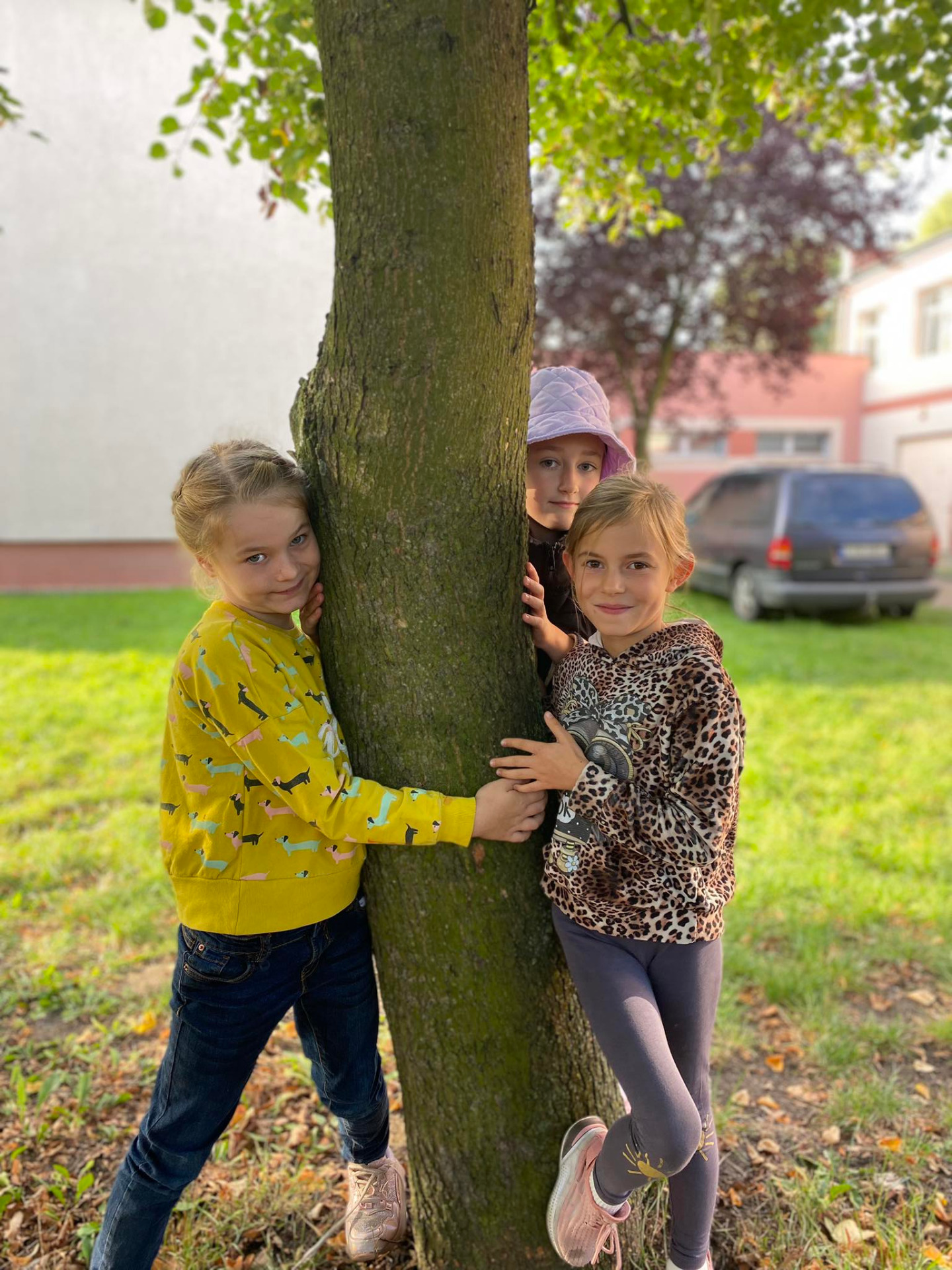 Przytul się do drzewa! 🌳🌲😁 - Obrazek 5