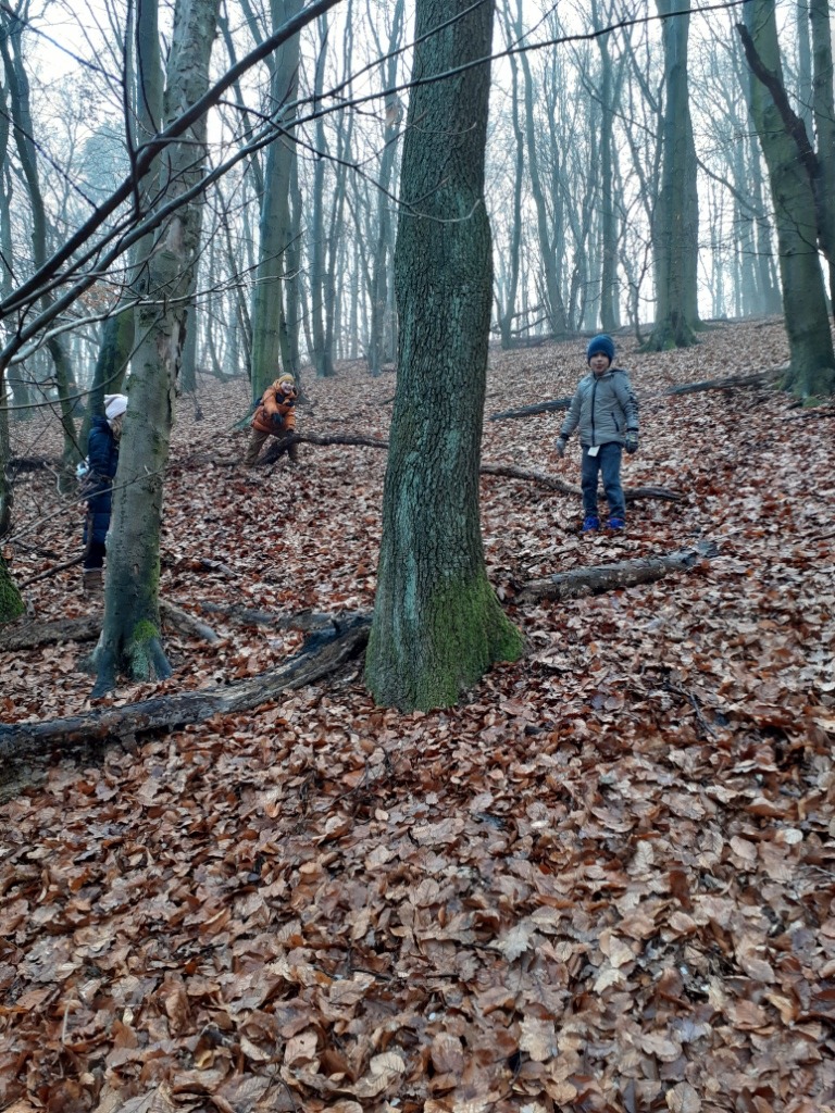 Vychádzka do lesa 2.A, 2.B - Obrázok 3