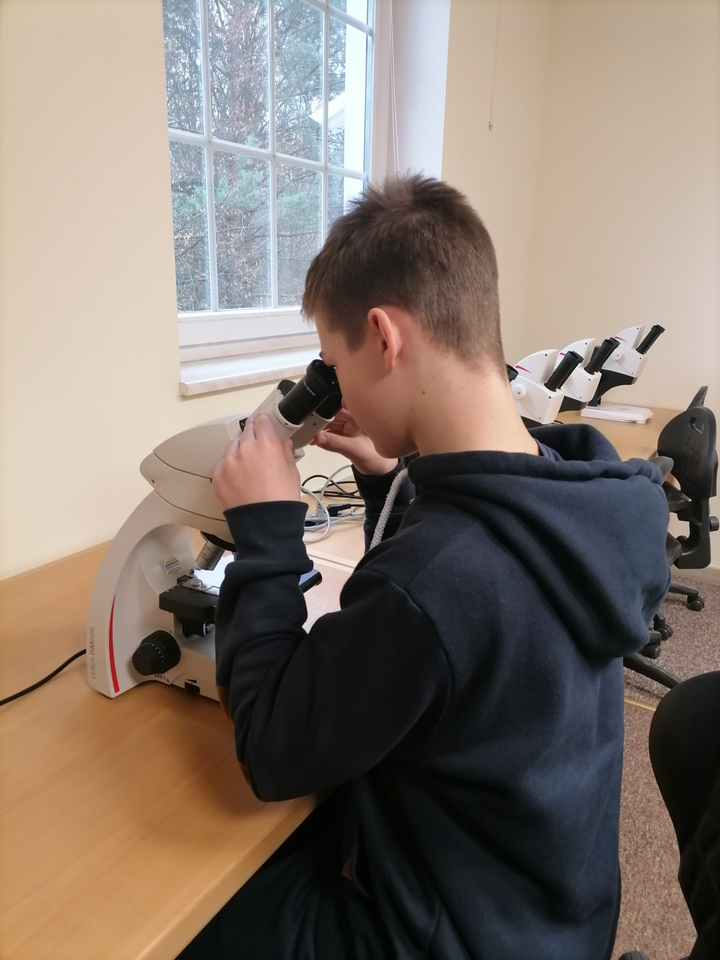 Chłopiec obserwuje preparat przez mikroskop 