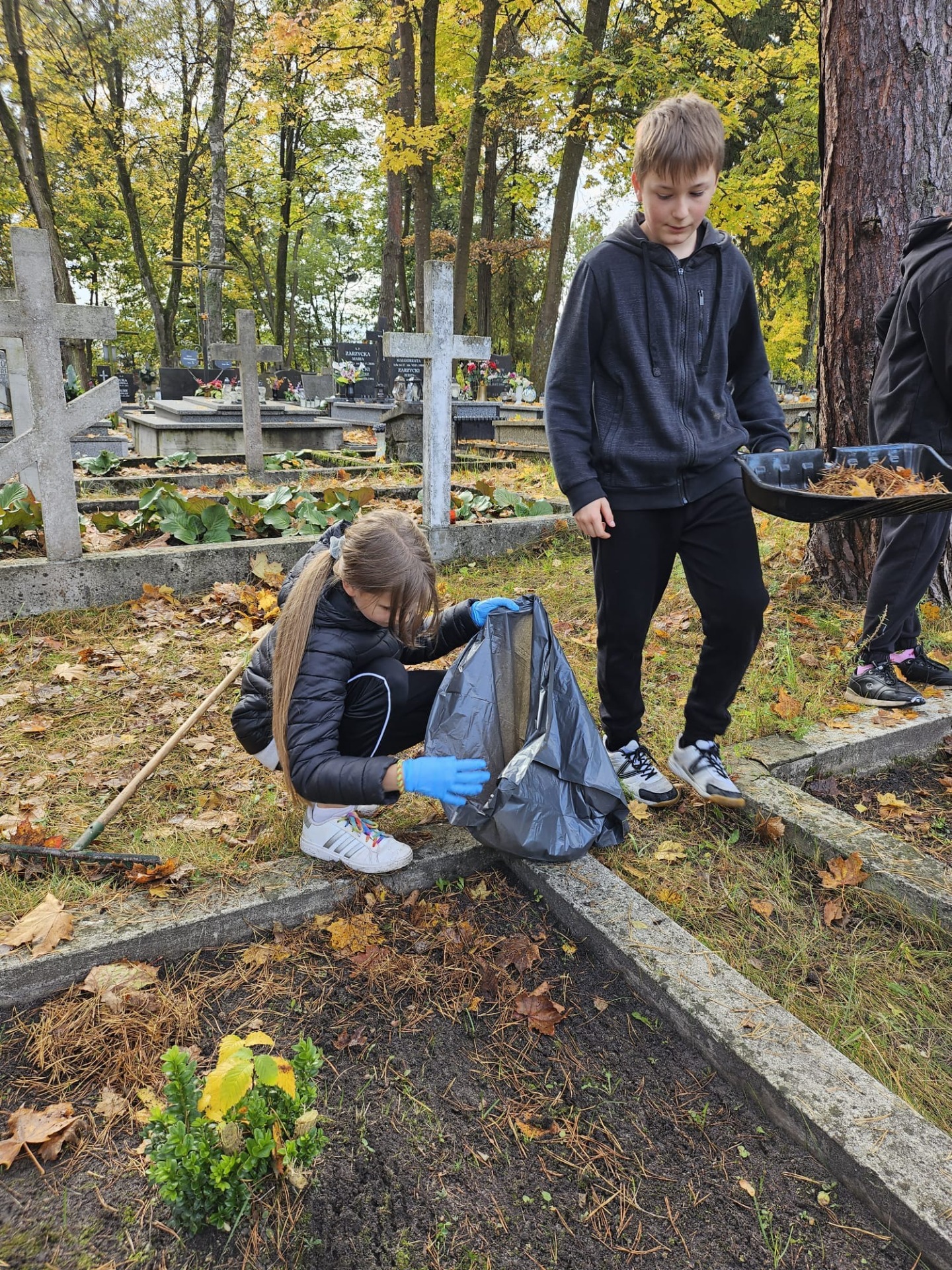 Sprzątanie grobów żołnierskich na cmentarzu parafialnym w Zwierzyńcu - Obrazek 4